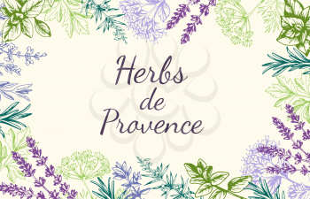 Vintage vector hand drawn background with Provencal spices and herbs.