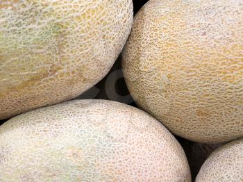 Yellow melon for sale at the Farmers Market