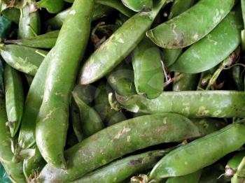 Fresh Green beans