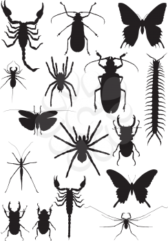 sixteen black silhouette of exotic insects and arachnids isolated on white background