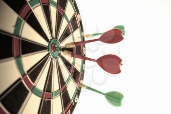 Close-up dart board with a red arrows that hit the center of the target