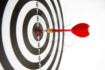 Close-up dart board with a red arrow that hit the center of the target