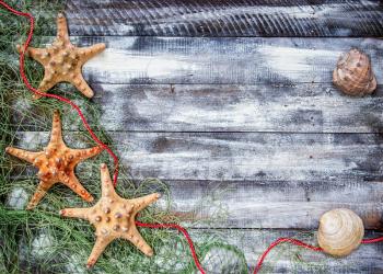 old painted wooden boards over which lies a fishing net with starfish. With place for your text.