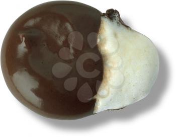 Royalty Free Photo of a Melted Chocolate Marshmallow Cookie