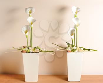 Interior decoration, decorative white calla in the white flowerpot.