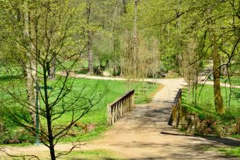 Walk path through the green park in a sunny day. Vlasim castle park.