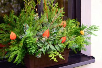 Winter natural house decoration with coniferous branches in a pot on a windowsill. 