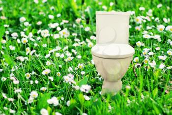 Abstract collage with fresh flush toilet bowl placed in the blooming green meadow, concept of fresh purity and ecology.