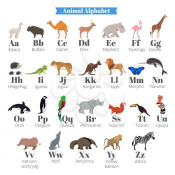 English vector alphabet for kids with cute wild animals near letters. Alphabet animals flamingo and giraffe, hedgehog and iguana, jaguar and kangaroo illustration