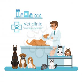 Animals in cabinet of vet hospital. Vector illustration. Medical vet clinic for animals cat and dog