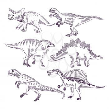 Wild life with dinosaurs. Hand drawn illustrations set of t rex and other dino types. Dinosaur sketch animal drawing, monster character prehistoric tyrannosaurus and triceratops