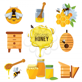Colorful pictures of honey bumble and different others symbols of apiculture. Beekeeping and honeycomb, insect and sweet yellow honey illustration