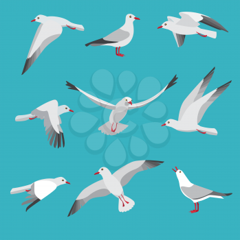 Atlantic seagull in different action poses. Cartoon flying birds seagull posing, wildlife mascot character. Vector illustration