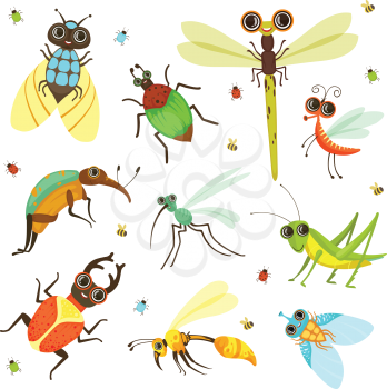 Bugs, butterfly and other insects in cartoon style. Insect butterfly and bug, beetle and dragonfly. Vector illustration