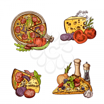 Vector colored hand drawn italian pizza, vegetables and cheese piles set. Pizza with cheese, italian food with tomato and mushroom illustration