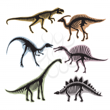 Skeleton of dinosaurs. Vector silhouette of tyrannosaurus, diplodocus and others wild animals. Prehistoric animal dinosaur illustration