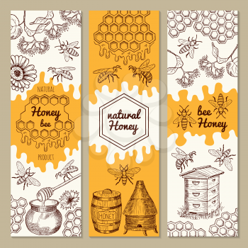 Banners with honey product pictures. Bee, honeycomb. Vector illustrations. Sweet honey natural banner collection