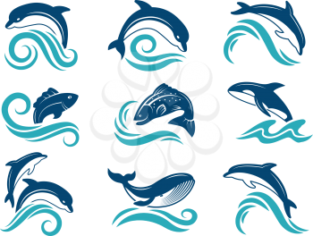Pictures of dolphins and other marine animals. Logo design template. Dolphin animal and fish jump emblem. Vector illustration