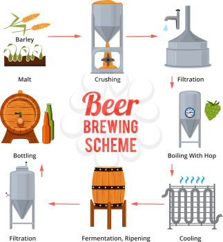 Stages of beer production. Vector symbols of brewery. Beer brewing, stage manufacturing and produce illustration