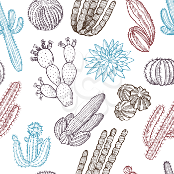 Floral seamless pattern. Illustrations of wild cactuses. Wild plant background, exotic summer succulent vector
