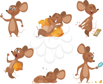 Various characters of mice in action poses. Mouse animal, rat rodent cheerful with cheese, vector illustration