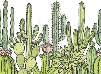 Horizontal seamless pattern with illustrations of wild cactuses. Cactus floral mexican, drawing plant vector exotic