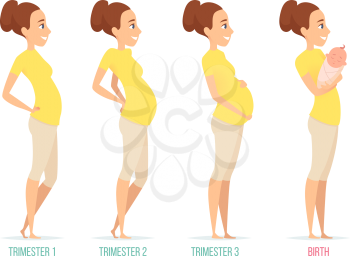 Pregnancy stages. Happy mom with newborn child female pregnancy trimesters vector characters isolated. Illustration of motherhood, pregnant female