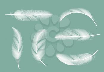 Feathers collection. Flying furry of goose vector realistic pictures isolated on transparent background. Feather of bird, quill or plume illustration