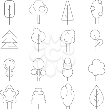 Stylized linear trees. Vector symbols of various plants. Tree plant, nature line forest illustration