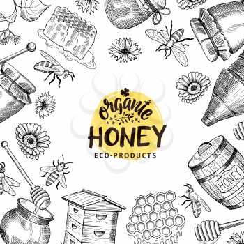 Vector banner and poster background with sketched honey elements illustration