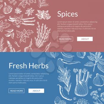Vector hand drawn herbs and spices horizontal web banners illustration