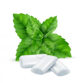 Mint gum. Fresh menthol leaves with white gum sweets for breathing fresh smell vector realistic pictures. Illustration of peppermint effect, pad of gum for chew