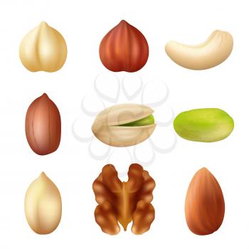 Nuts collection. Nature food dried cashew healthy peanut crumbs vector agriculture picture. Illustration of healthy nuts cashew and peanut, hazelnut and almond