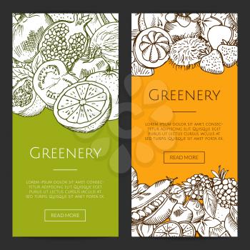 Vector doodle sketched fresh fruits and vegetables flyers, banners set. Greenery banner collection illustration