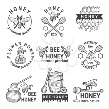 Monochrome labels set with honey, bees and honeycomb. Honey organic label and icon, healthy sweet food. Vector illustration