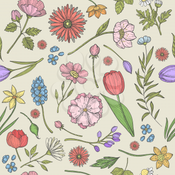 Flowers and plants pattern. Seamless background with pictures of various herbs and other plants. Floral pattern plant, floral seamless wallpaper. Vector illustration