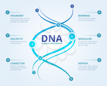 Dna infographics. Spiral human biology structure vector medical scientific concept with place for your text. Illustration of dna chemistry information infographic structure illustration