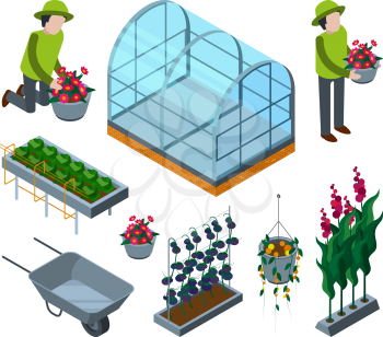 Farm greenhouse isometric. Agricultural wheelbarrow glasshouses for tomato horticulture concept vector 3d pictures. Illustration of agriculture farm, greenhouse isometric