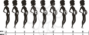 Pregnancy stages. Silhouettes of happy mom with newborn child female pregnancy trimesters infographics vector pictures. Illustration of mother pregnant, motherhood infographic, maternity newborn