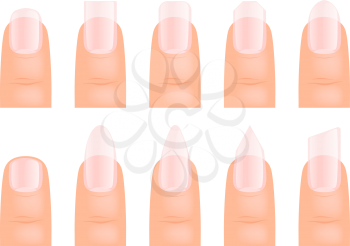 Manicure nails. Various type of fingernail art vector cartoon template. Illustration of manicure nail, fingernail hand different
