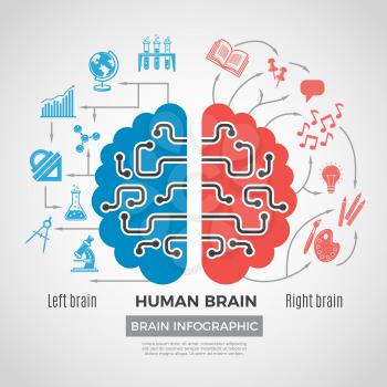 Brain silhouette infographic. Creative thinking learning processes in people brain vector picture business symbols. Brain infographic left and right halves illustration