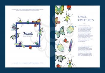 Banner and poster vector hand drawn insects card or flyer template illustration