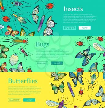 Vector hand drawn insects web banner and poster templates illustration