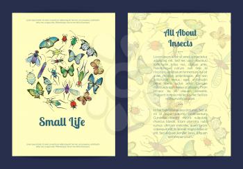 Vector hand drawn insects card or flyer template banner illustration