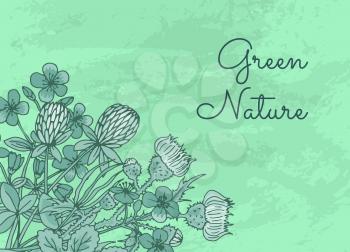 Banner and poster vector hand drawn medical herbs background with place for text illustration