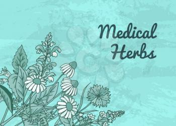 Vector hand drawn medical herbs background with place for text illustration. Medical organic herbal