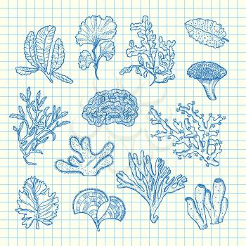 Vector hand drawn seaweed elements set on blue cell sheet background illustration