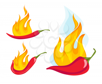 Hot red pepper. Exotic mexican cayenne pepper with fire flame fresh organic food vegetarian plant vector concept. Illustration chili spice red, cayenne mexican ingredient