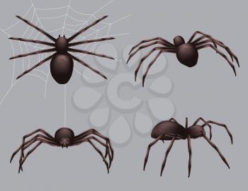 Spider realistic. Nature insects crawl venom black fear spider vector danger collection. Danger insect poisonous, spider crawl illustration
