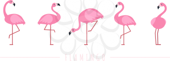 Pink flamingo. Exotic tropical birds characters. Isolated wildlife animals vector set. Exotic wildlife flamingo animal, wild character illustration